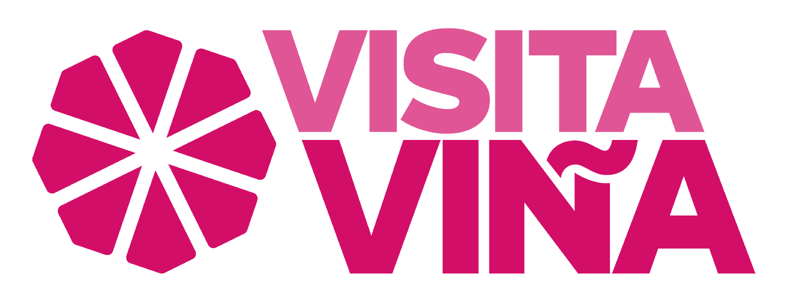 Visita Viña Logo